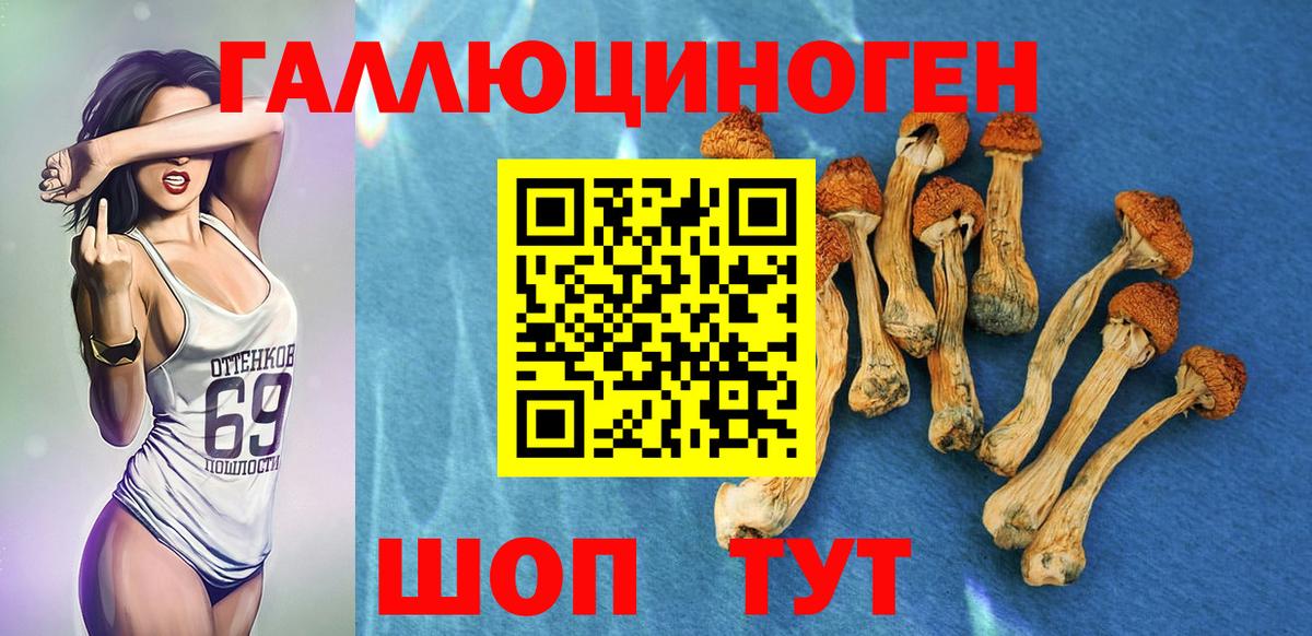 Назрань  Псилоцибиновые грибы прущие грибы  Вход с VPN 